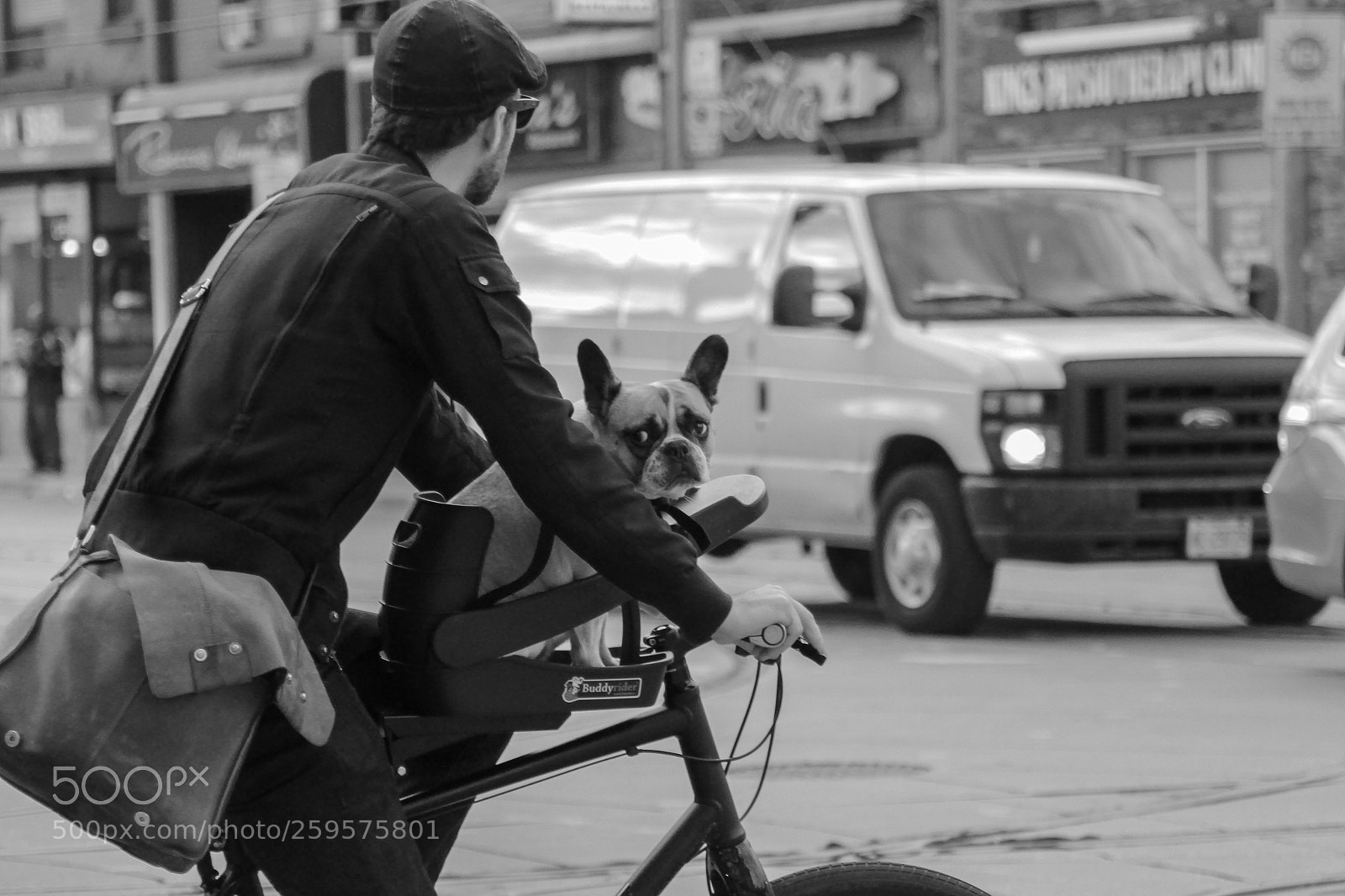 Canon EOS 700D (EOS Rebel T5i / EOS Kiss X7i) sample photo. Dog in bike basket photography