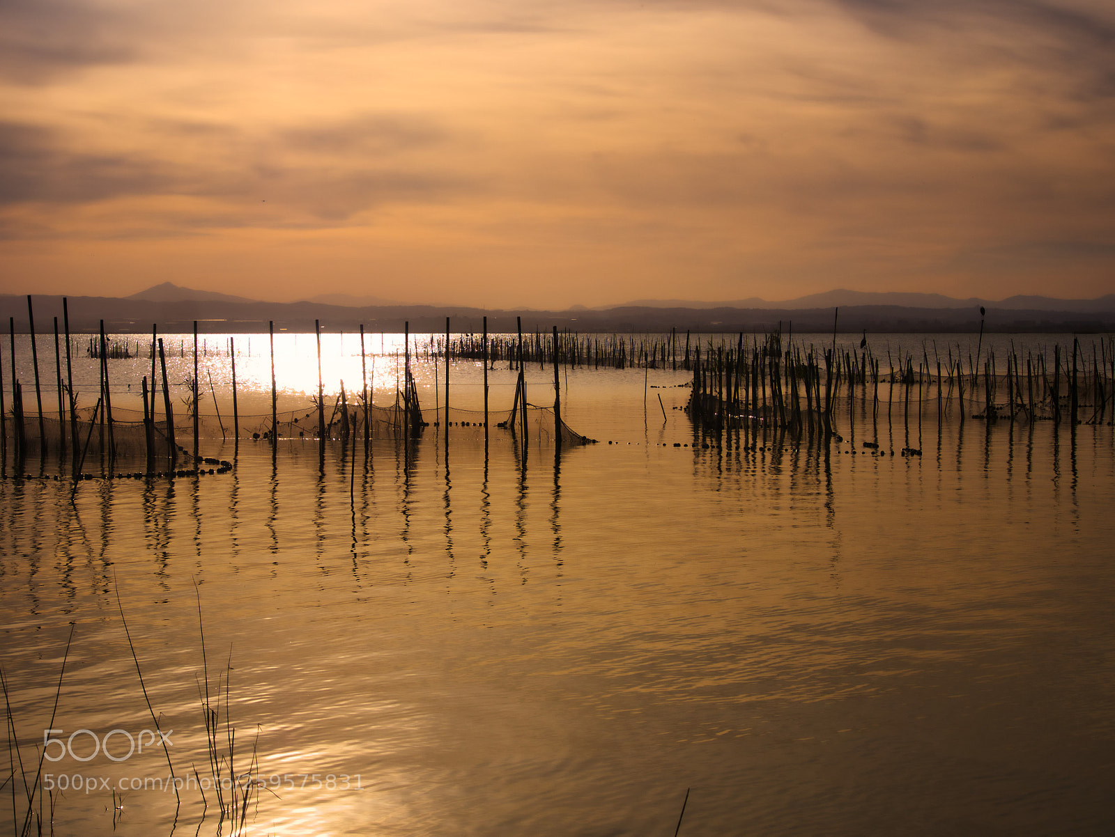 Panasonic Lumix DMC-GX85 (Lumix DMC-GX80 / Lumix DMC-GX7 Mark II) sample photo. Warm sunset photography