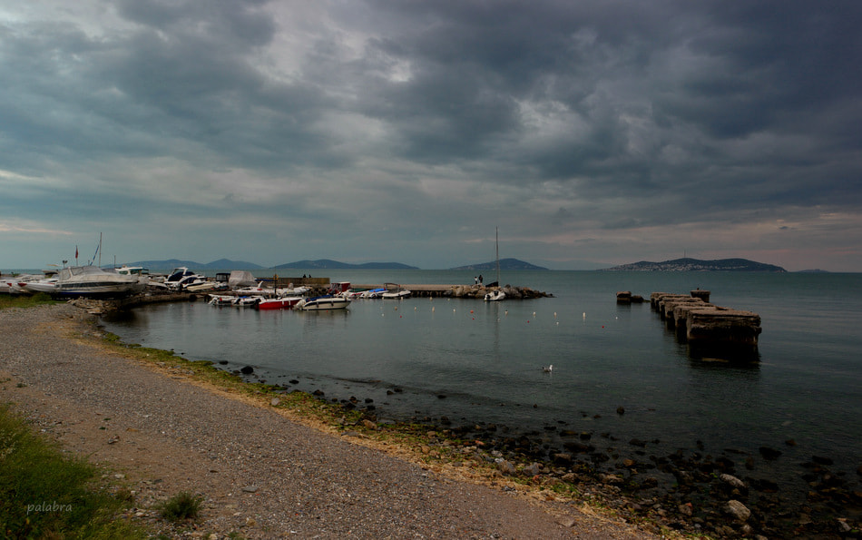 Samsung NX1 sample photo. ... photography