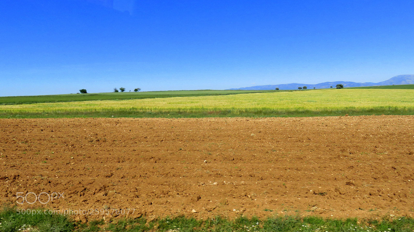 Canon PowerShot SX710 HS sample photo. Img photography