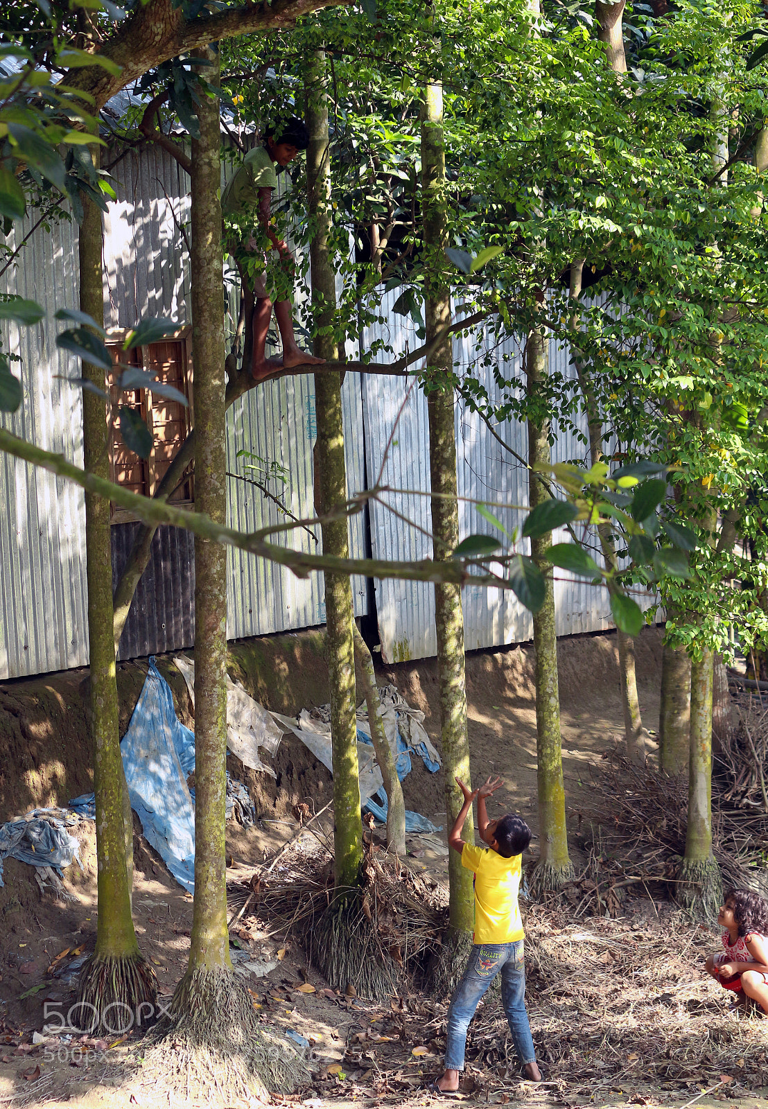 Canon EOS 700D (EOS Rebel T5i / EOS Kiss X7i) sample photo. Waiting photography