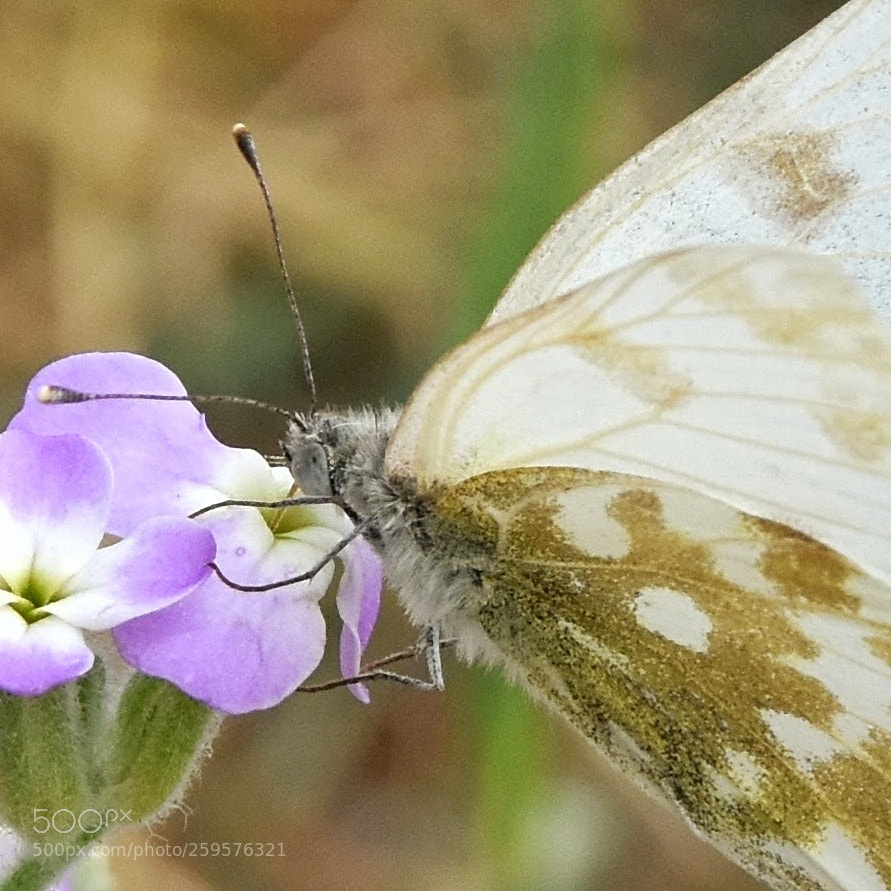 Nikon D7200 sample photo. Holding on photography