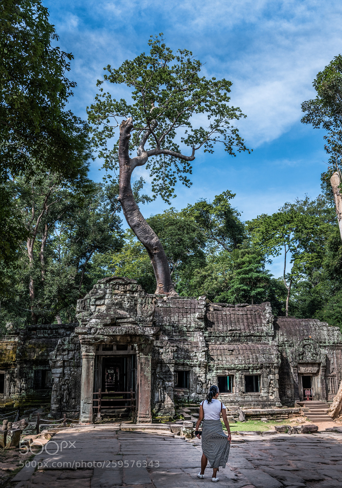 Nikon D500 sample photo. Ta prohm photography
