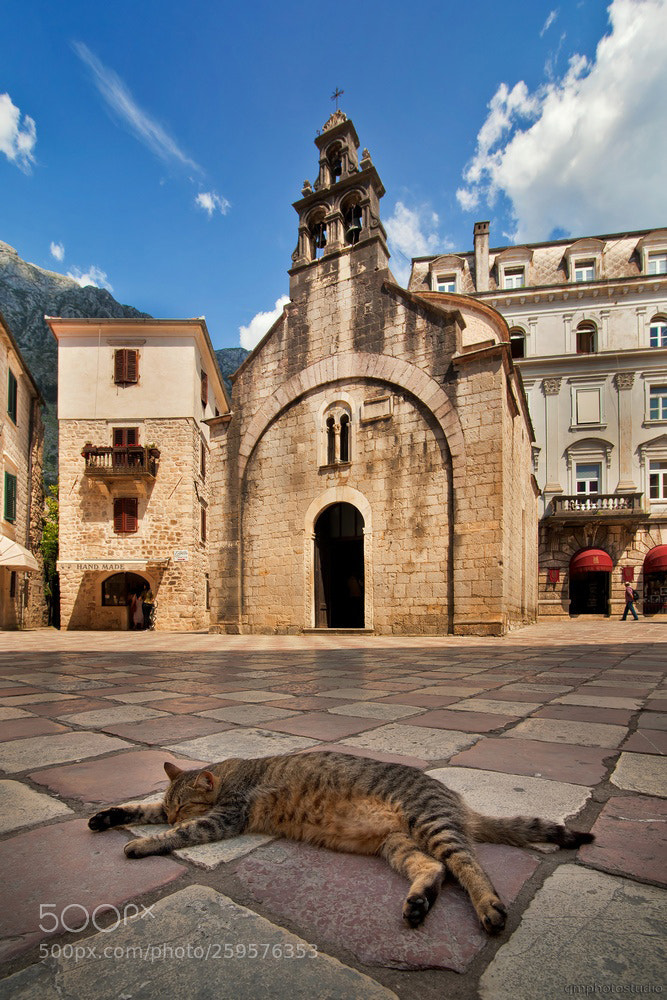 Canon EOS 5D Mark II sample photo. Lazy afternoon in kotor photography