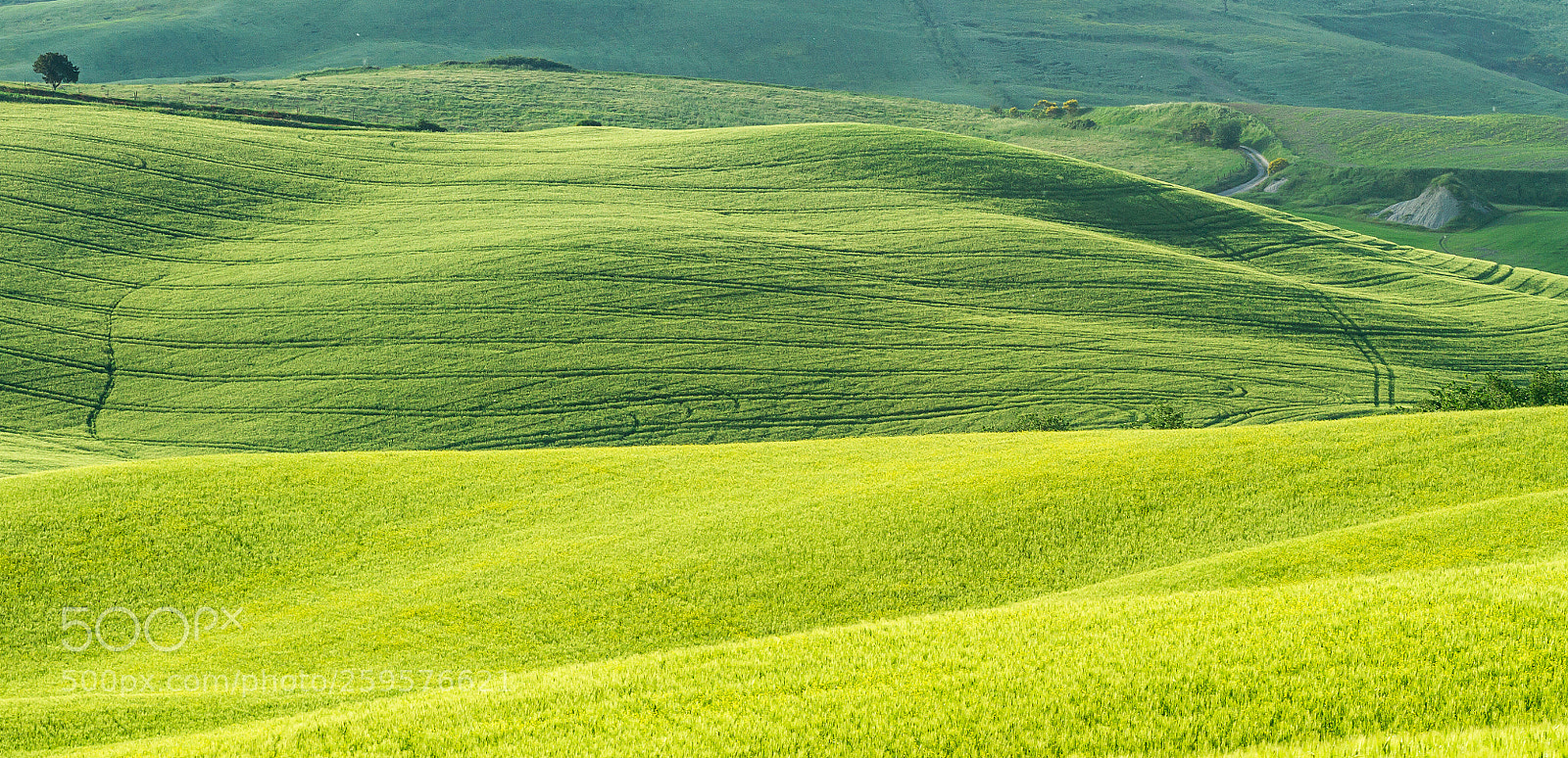 Canon EOS 7D sample photo. Green waves.... photography