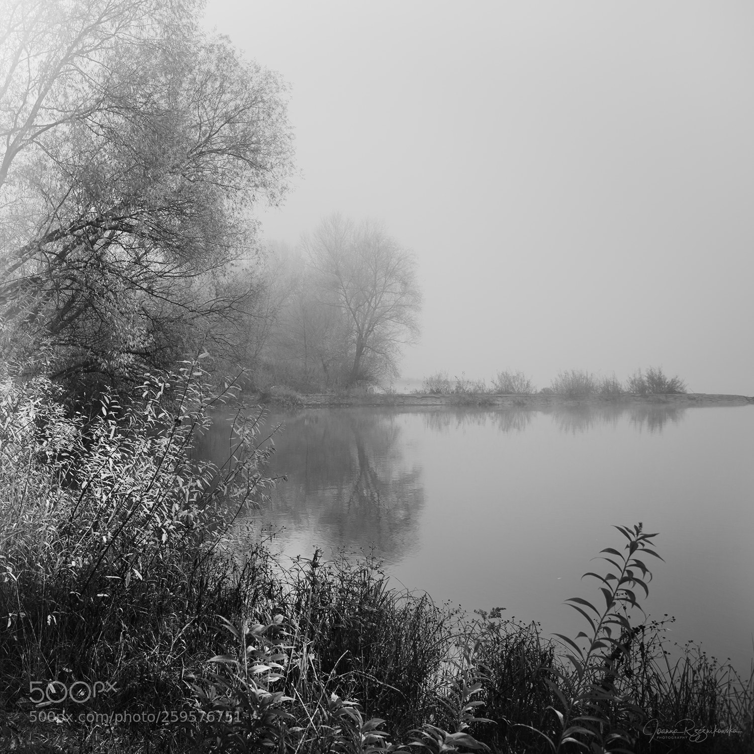 Canon EOS 5D Mark II sample photo. How dark is your photography