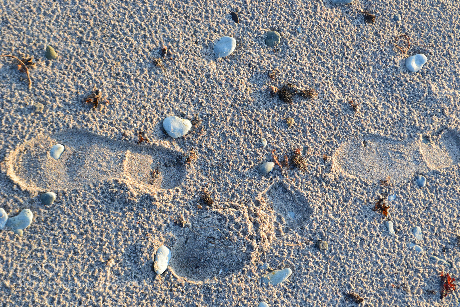 Nikon D3100 sample photo. Footprints photography