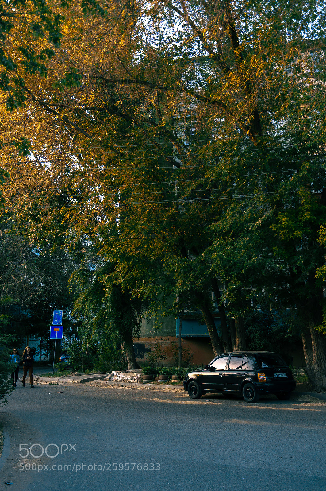 Nikon D90 sample photo. Insouciance photography
