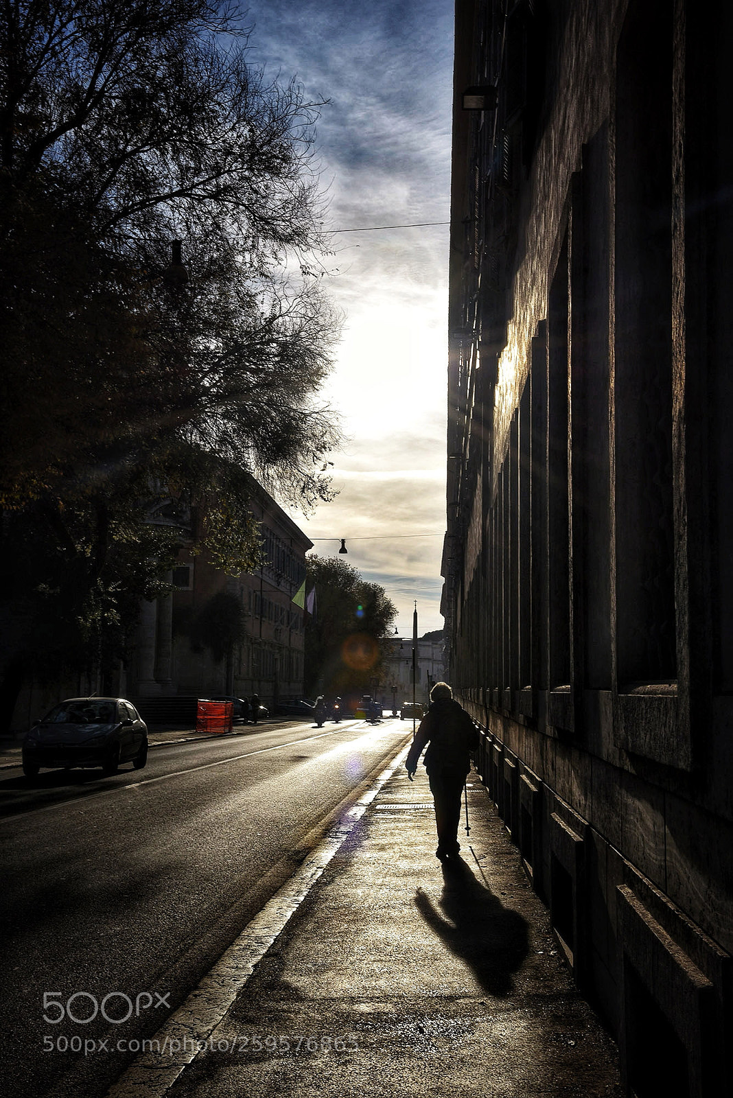 Nikon D750 sample photo. Untitled photography