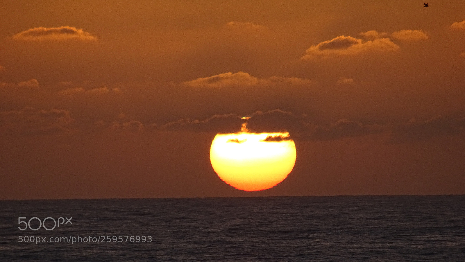 Sony DSC-HX60V sample photo. Sunrise photography