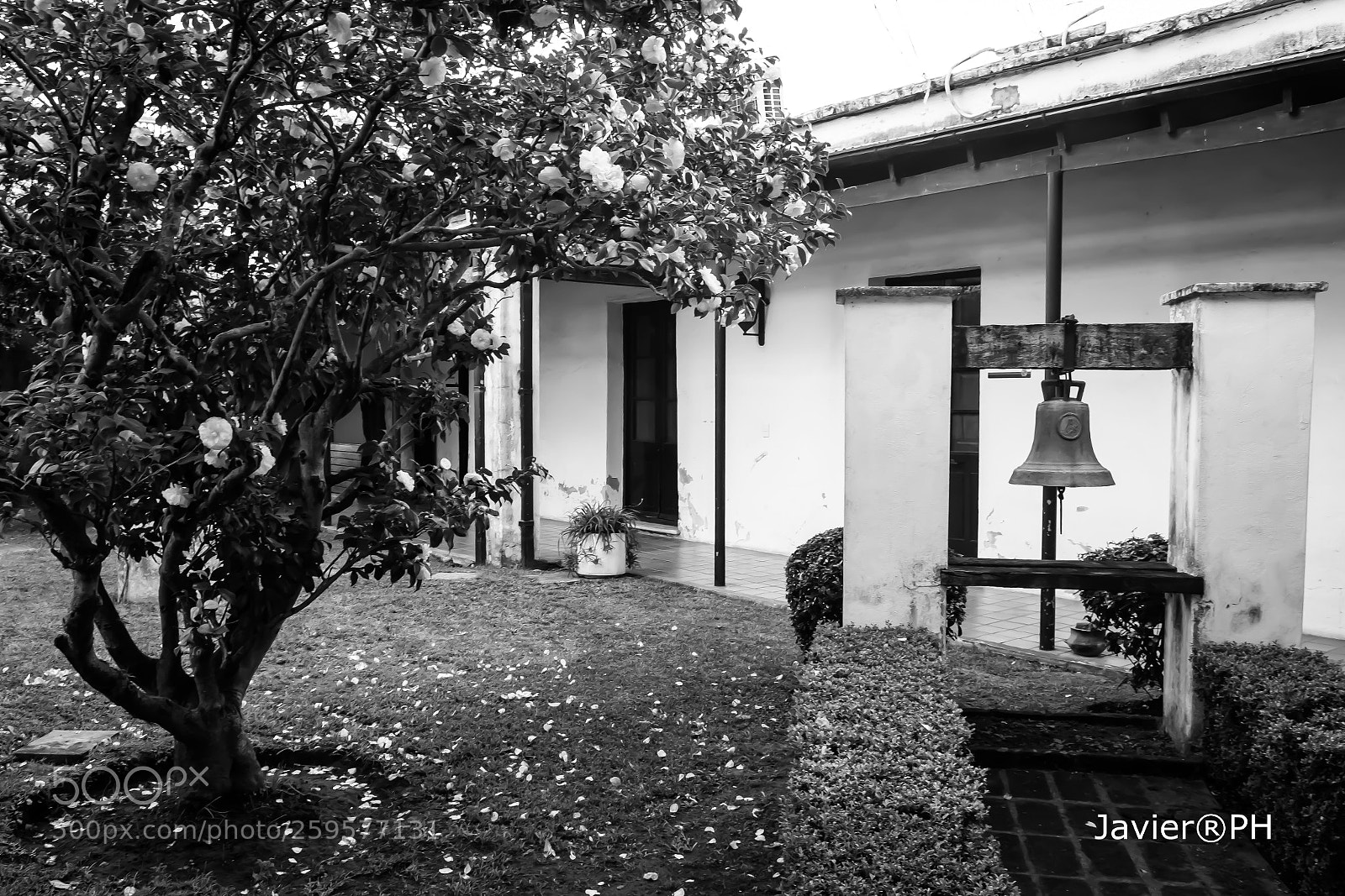 Nikon D7500 sample photo. Old courtyard of the photography