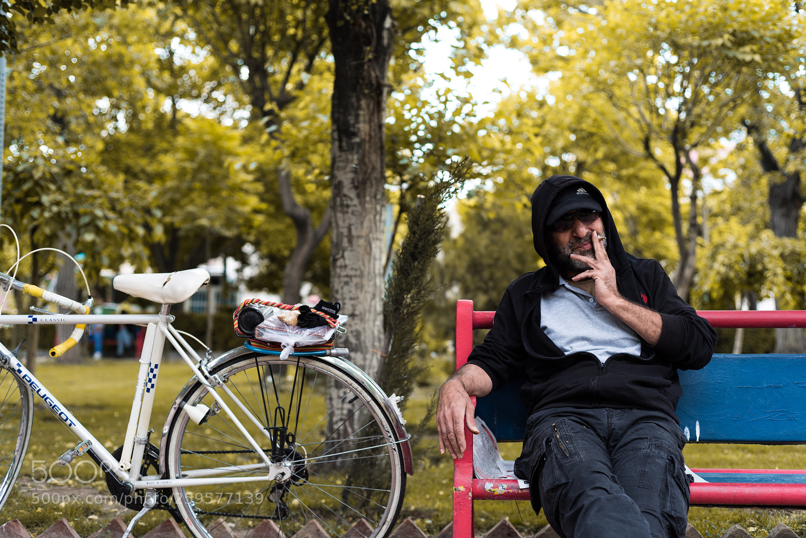 Nikon D750 sample photo. Untitled photography