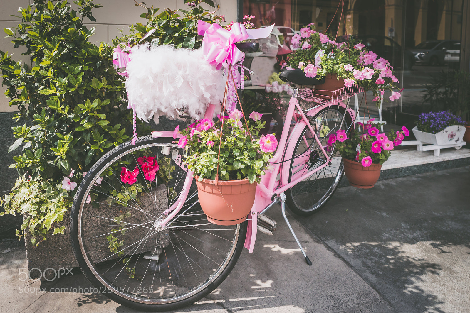 Canon EOS 6D Mark II sample photo. Vintage pink bicycle standing photography