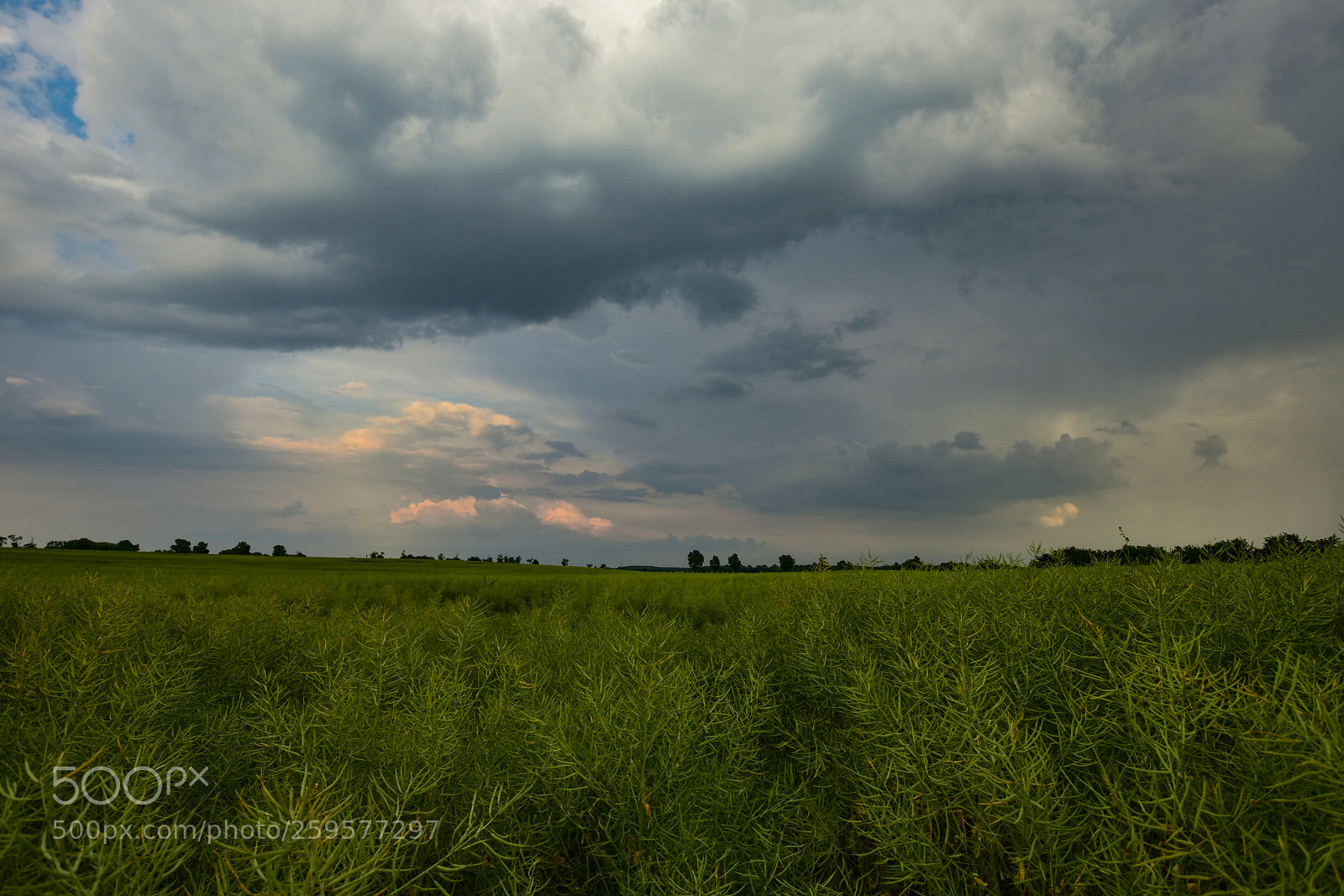 Nikon D7200 sample photo. Untitled photography
