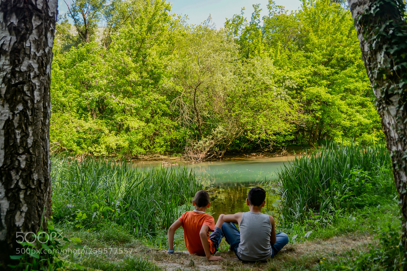 Nikon D7100 sample photo. Untitled photography