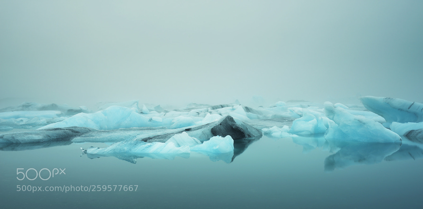 Sony a7R sample photo. Frozen in autumn photography