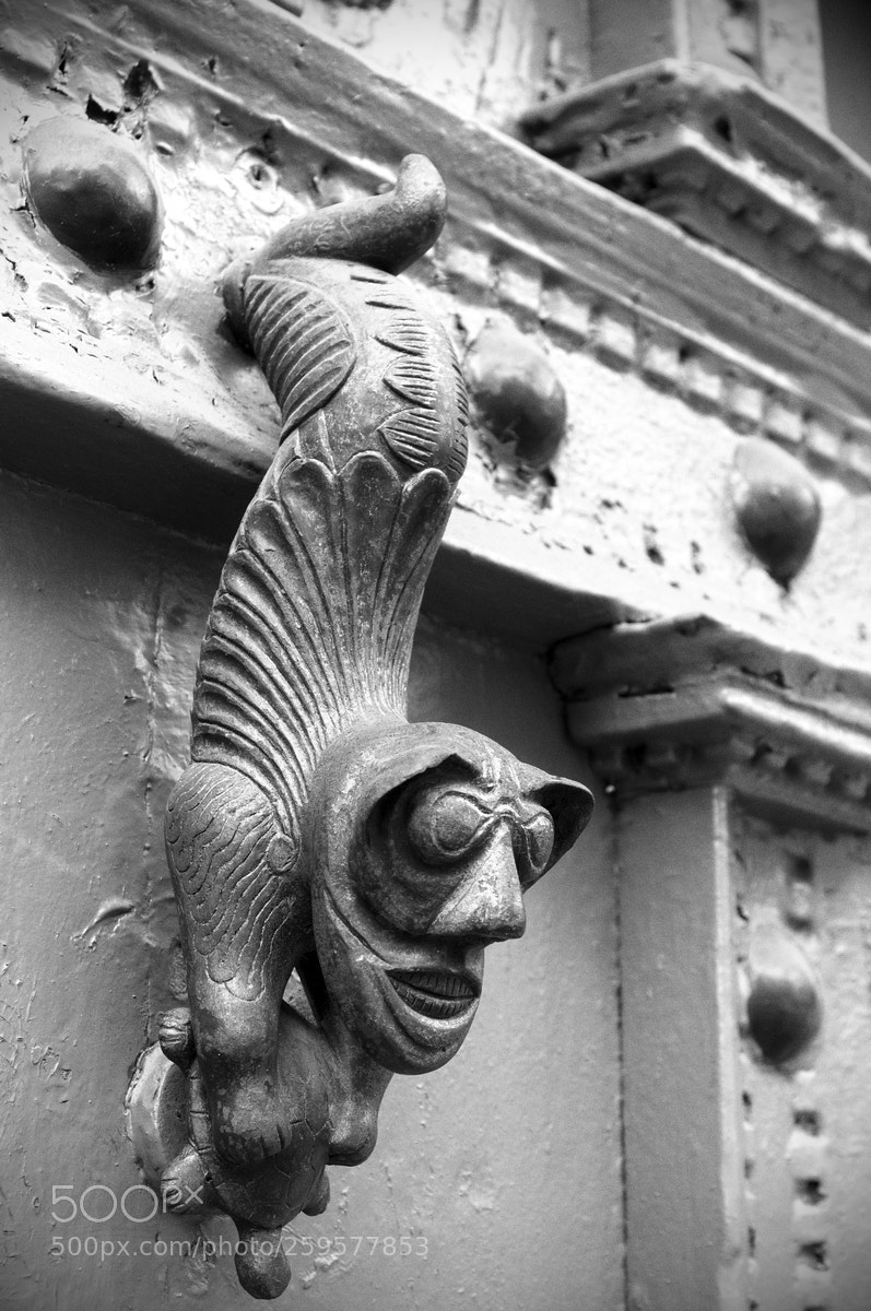 Nikon D300 sample photo. Door knocker photography