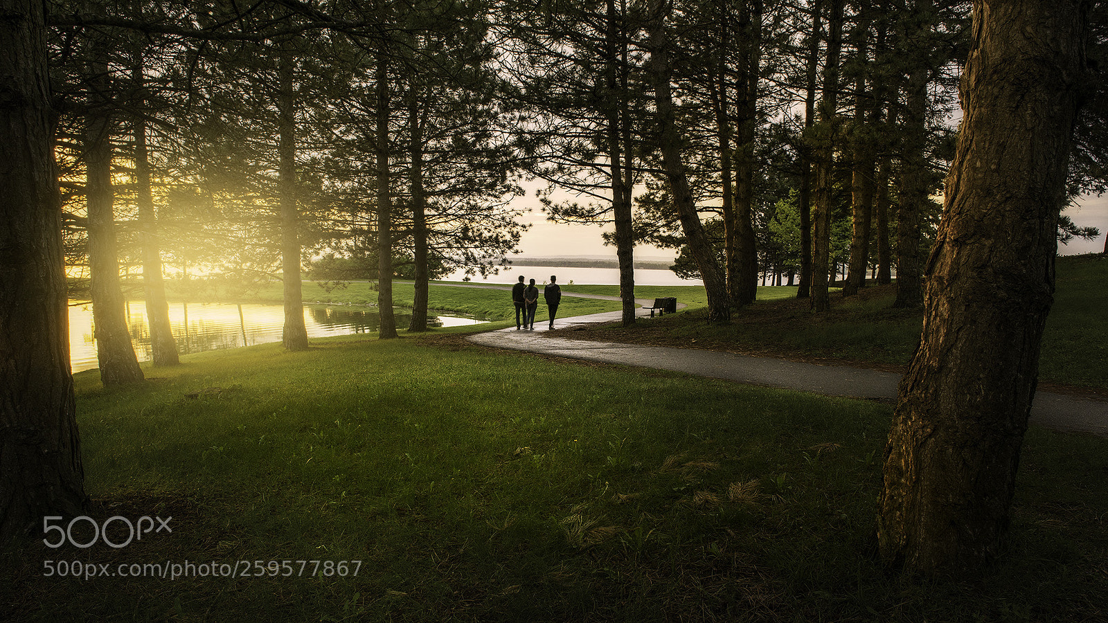 Nikon D610 sample photo. Andrew haydon stroll photography