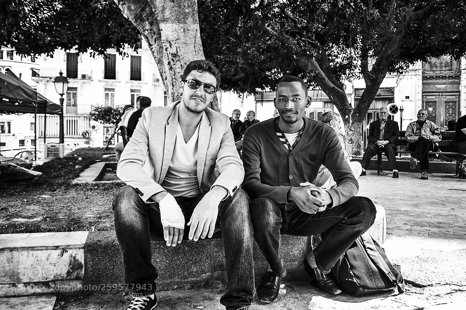Nikon D3100 sample photo. Friendship has no color photography