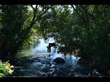Nikon D7500 sample photo. Untitled photography