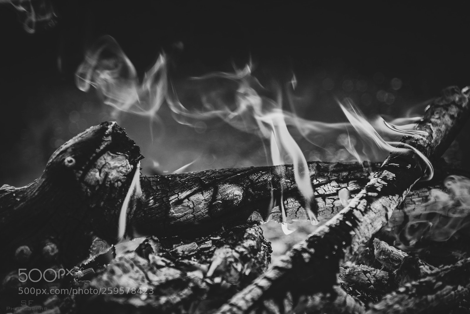 Nikon D750 sample photo. Fireplace - 146/365 (black & white) photography