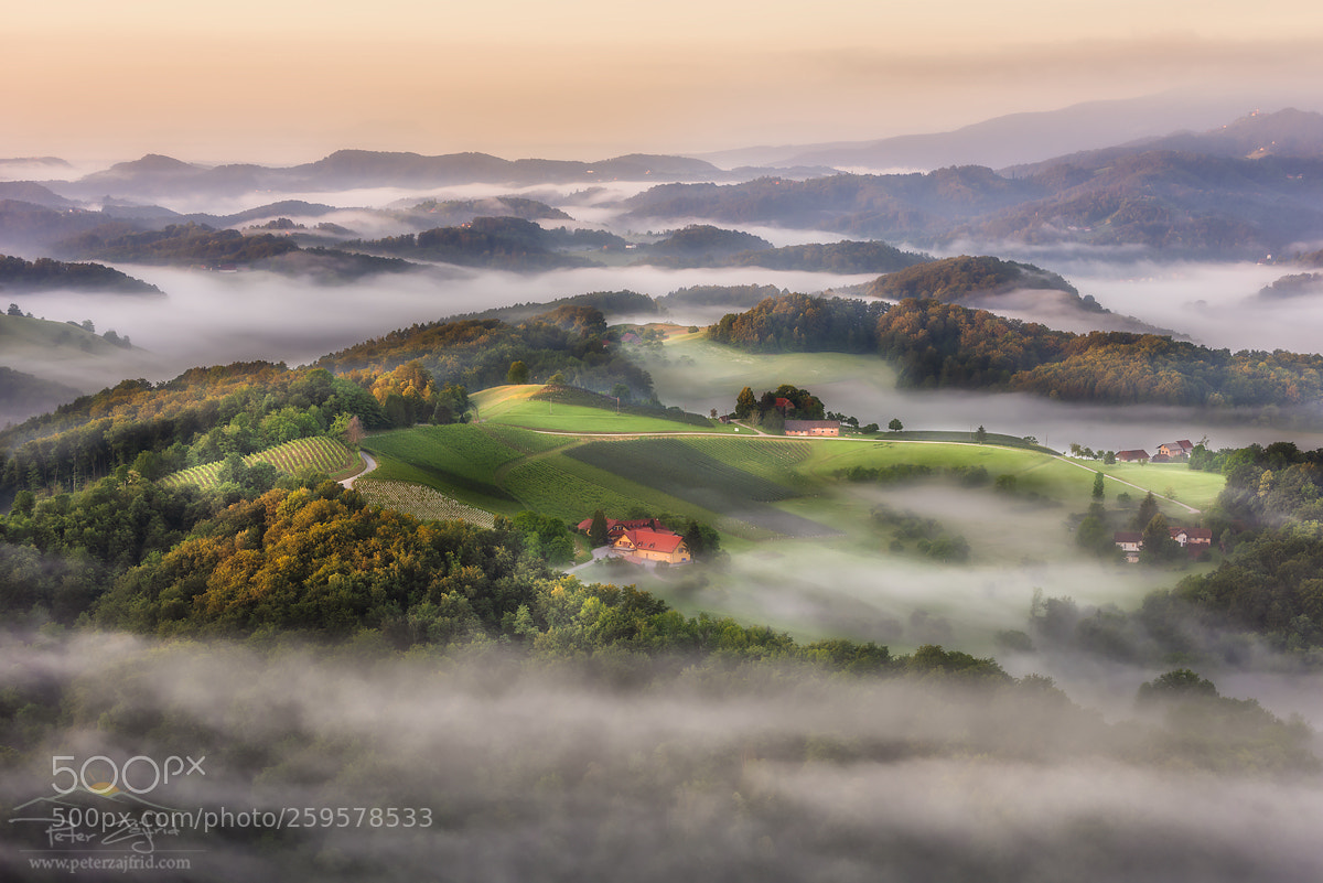 Nikon D810 sample photo. Misty spring morning photography