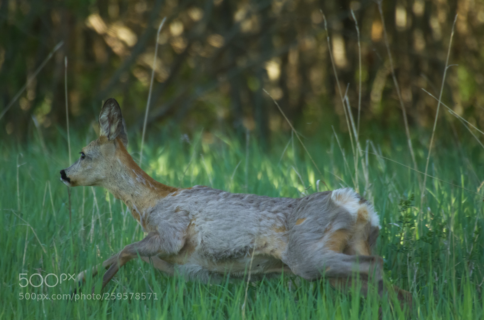Pentax K-5 sample photo. Untitled photography