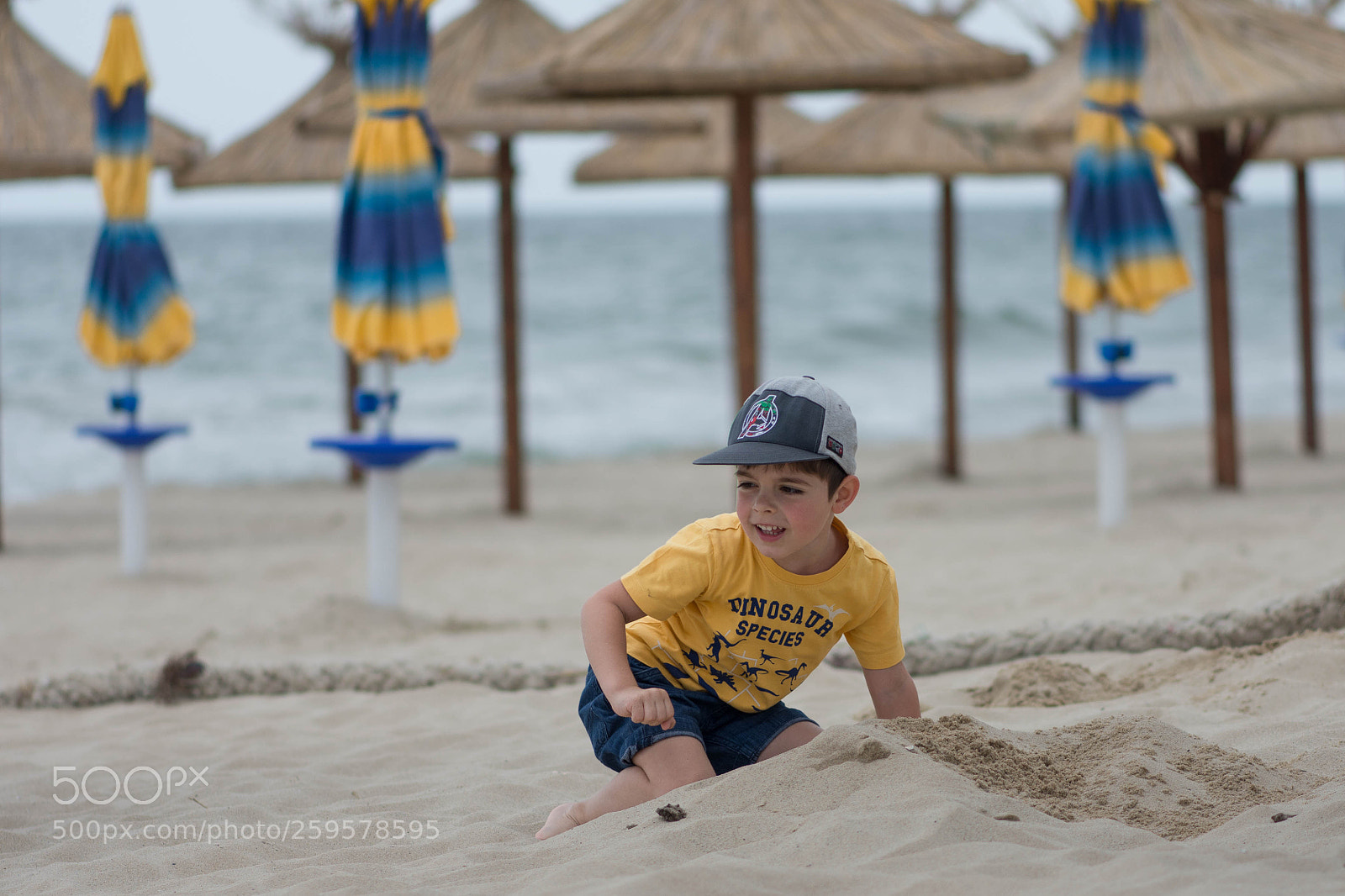 Nikon D7200 sample photo. Baywatch photography