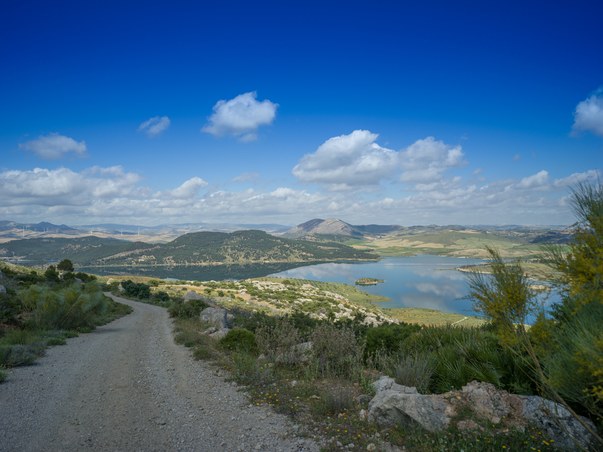 Hasselblad X1D-50c sample photo. Lake el chorro with hasselblad xcd 30mm photography