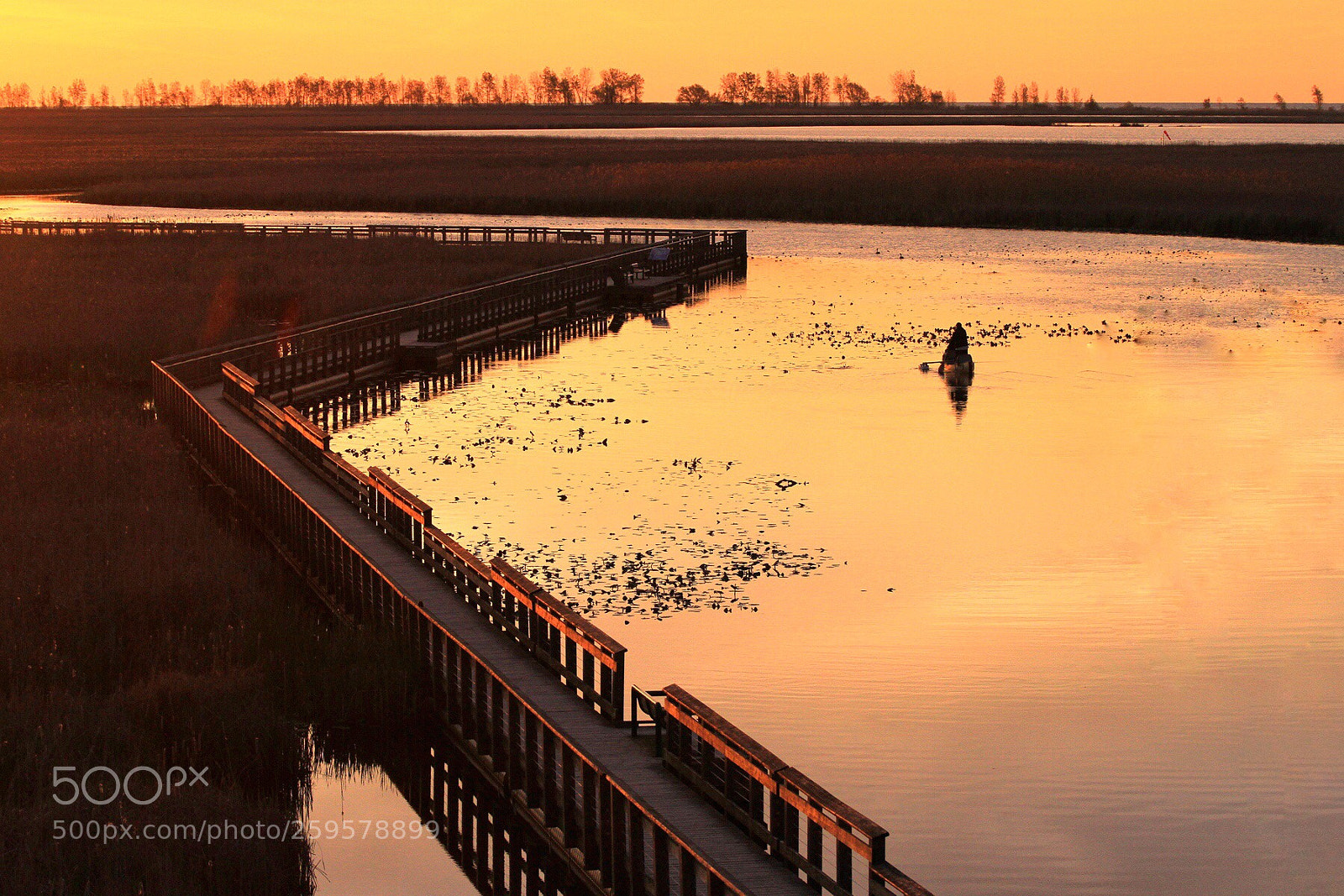 Canon EOS 7D sample photo. Morning color photography