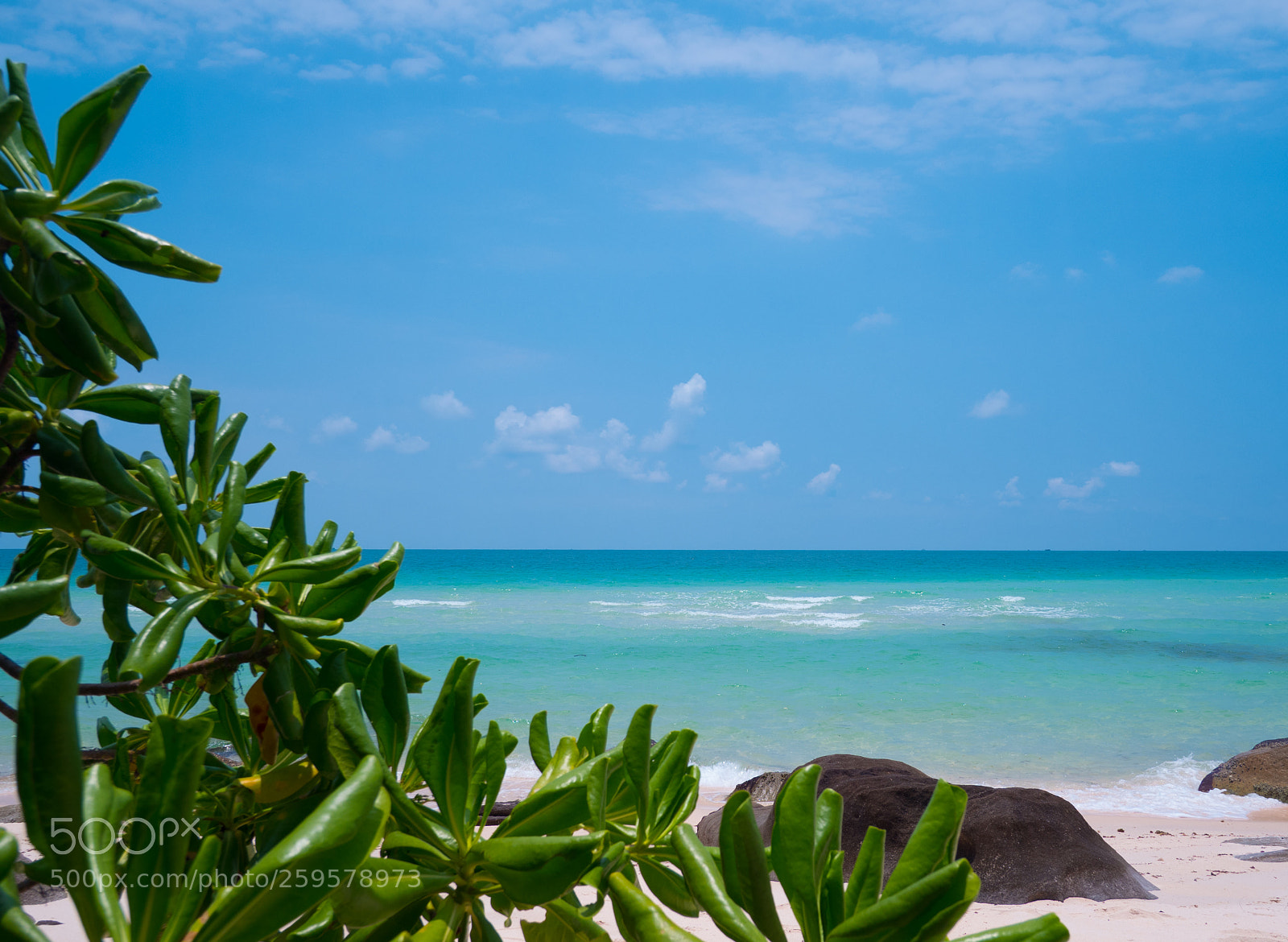 Olympus OM-D E-M5 II sample photo. On the shore photography