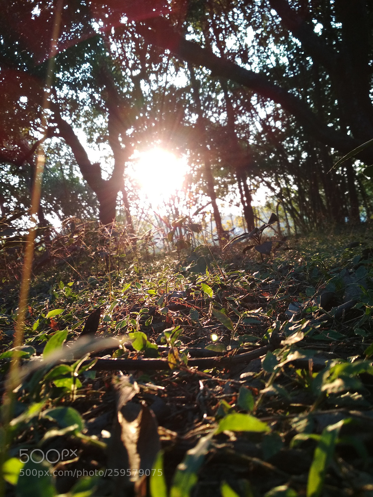 Xiaomi Redmi 4 Pro sample photo. Untitled photography
