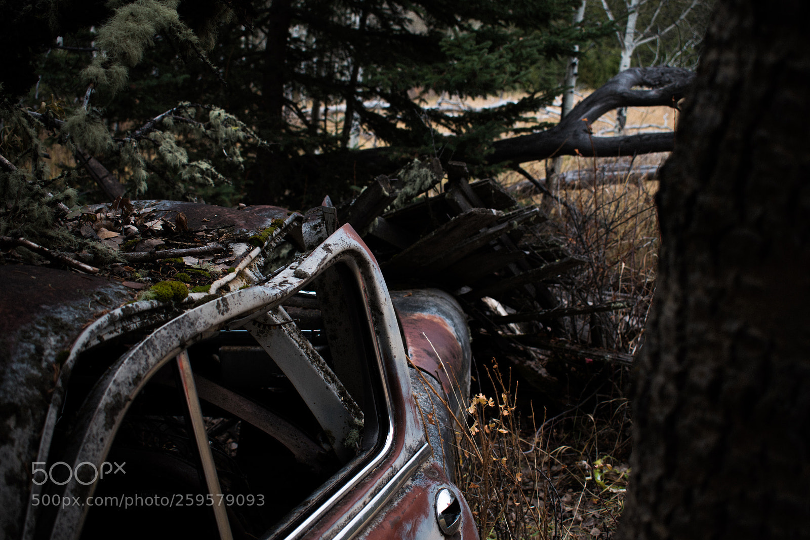 Nikon D5500 sample photo. Abandoned photography