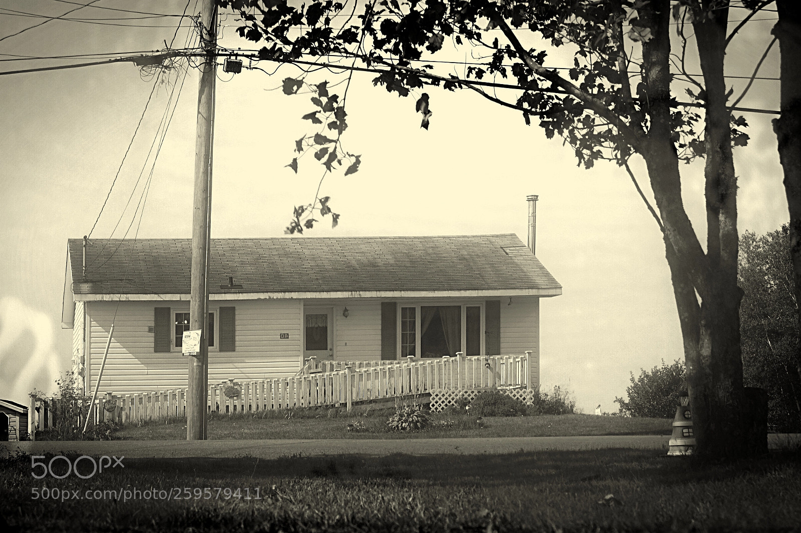 Sony SLT-A58 sample photo. The picket fence photography