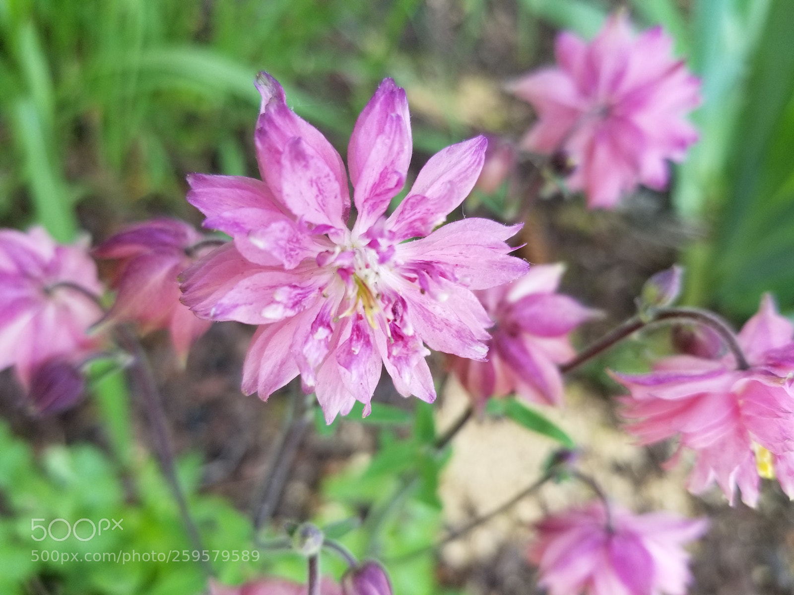 Samsung Galaxy S8 sample photo. Untitled photography