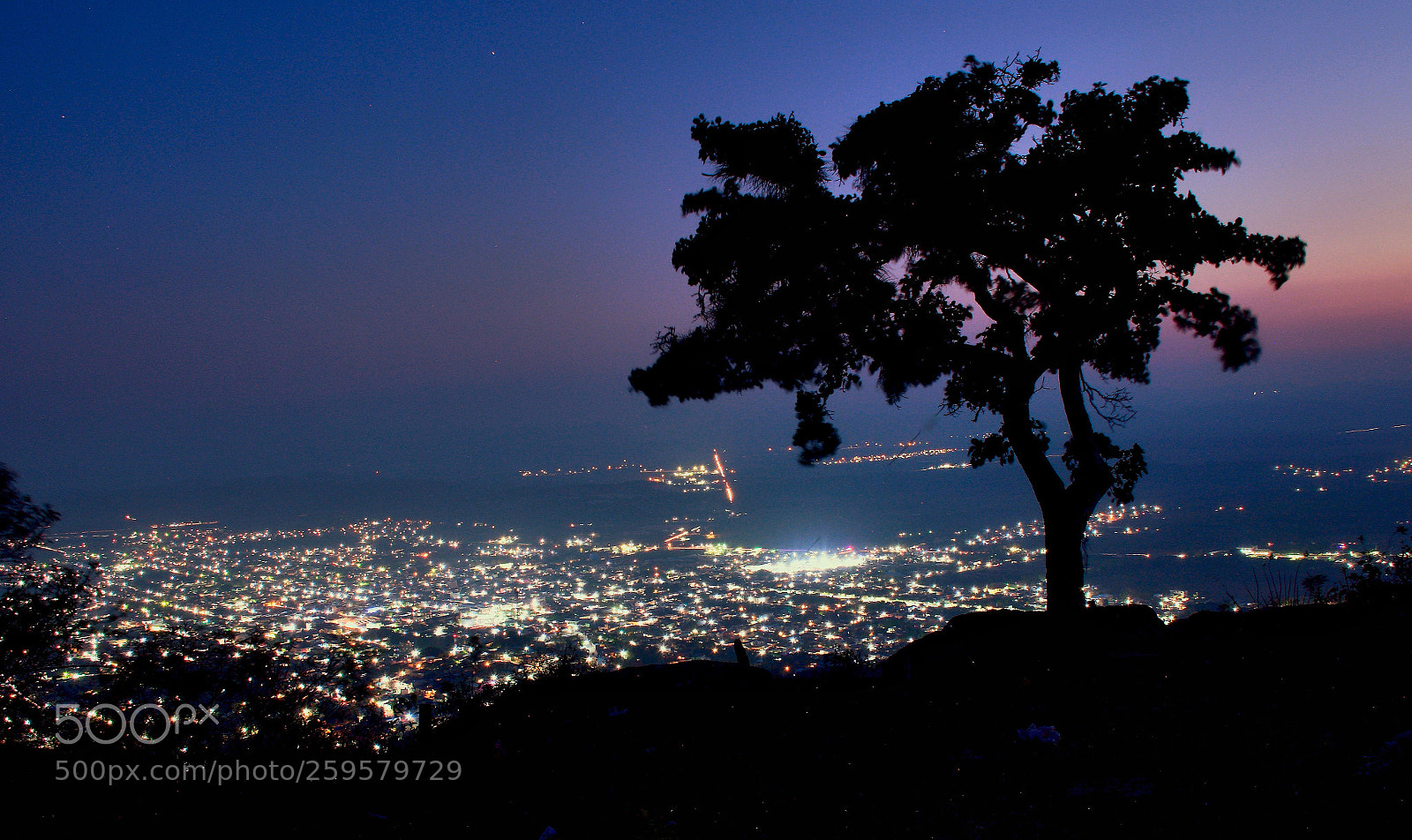 Nikon D7200 sample photo. El árbol espectador.! photography