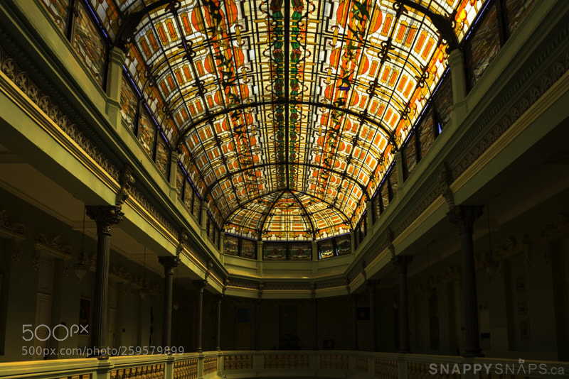 Nikon D800 sample photo. Glass ceiling hotel raquel photography
