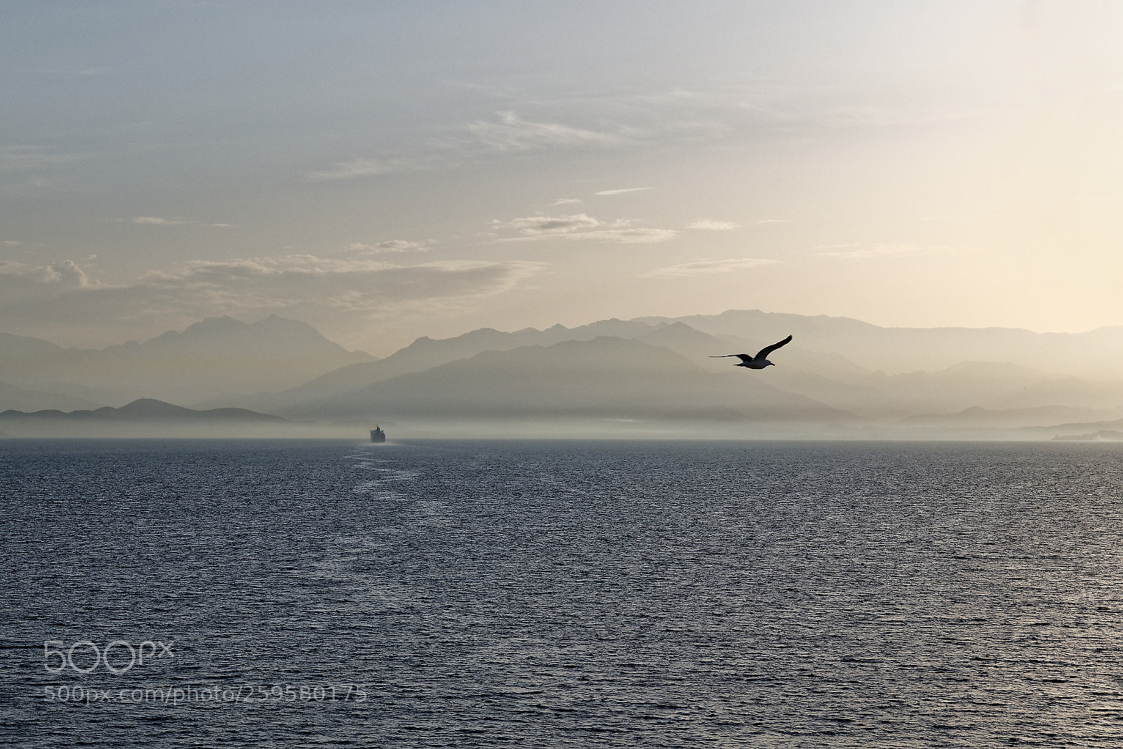 Nikon D850 sample photo. Corse photography