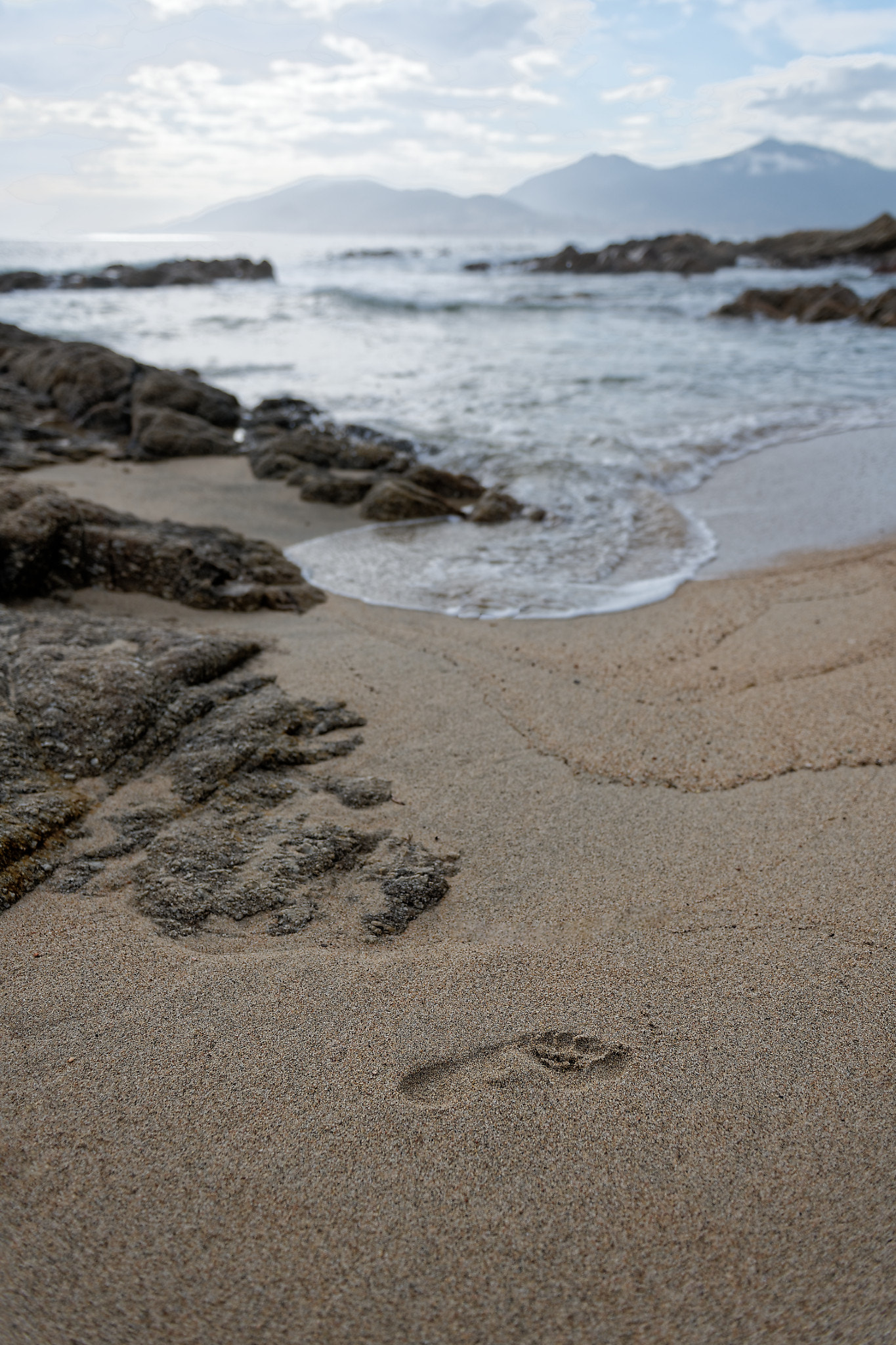 Nikon AF-S Nikkor 24-70mm F2.8G ED sample photo. Corse photography
