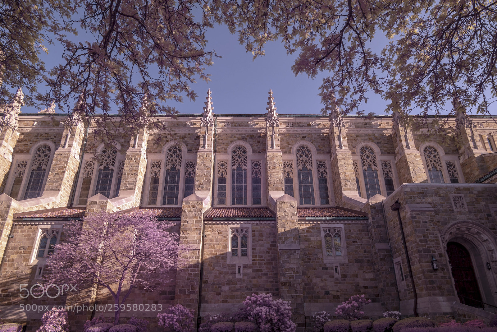 Sony a7R sample photo. Our lady, queen of photography
