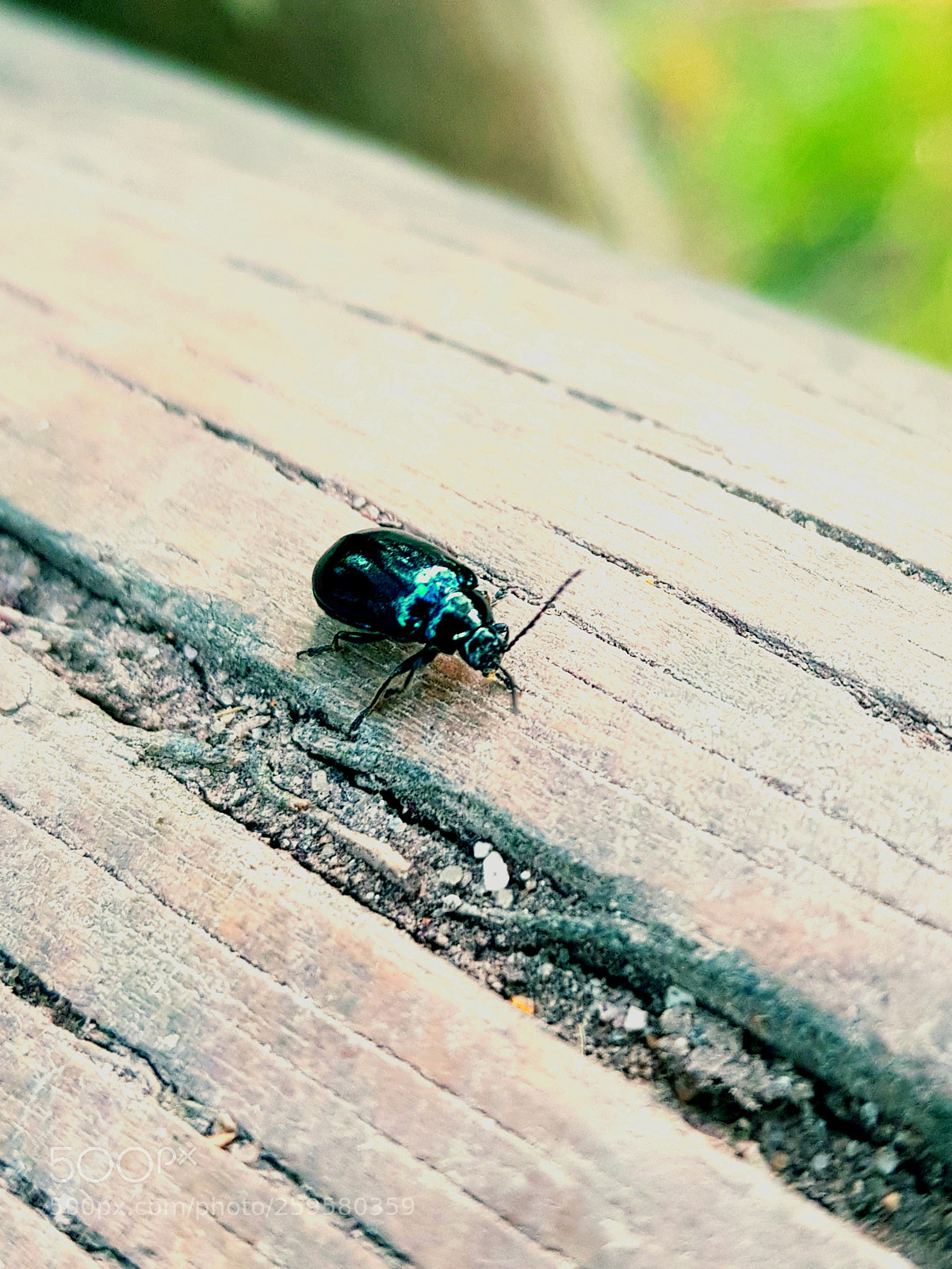 Samsung Galaxy S8 sample photo. Untitled photography