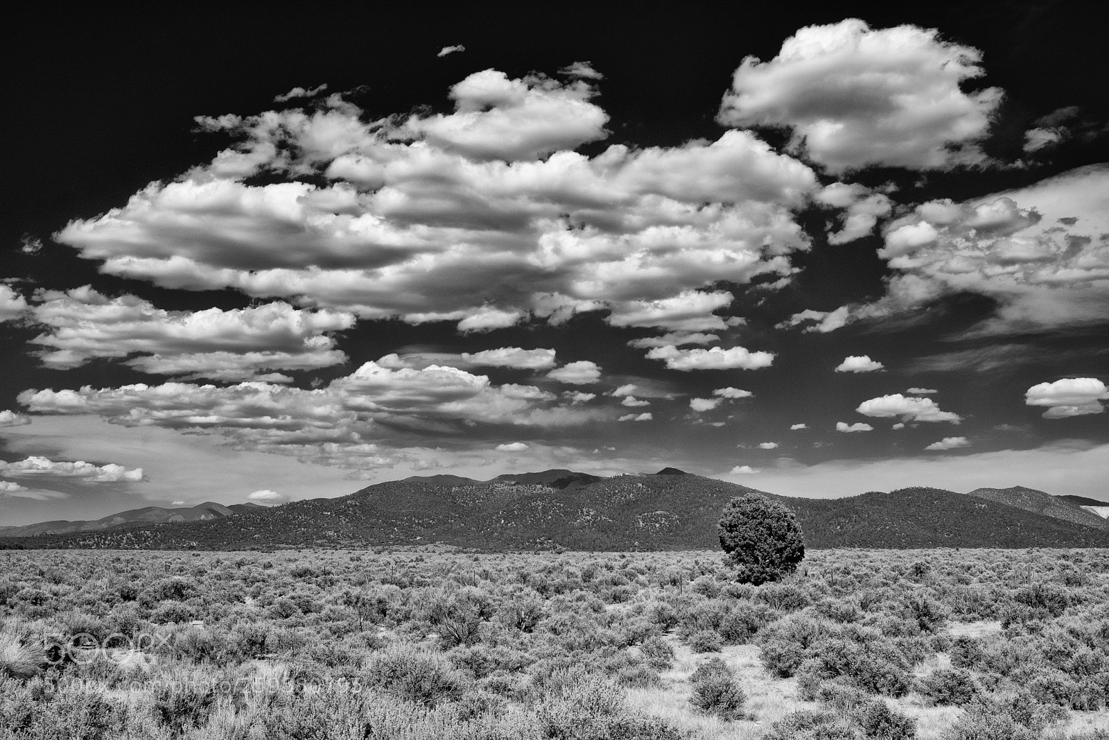 Fujifilm X-T2 sample photo. Rio grande del norte photography