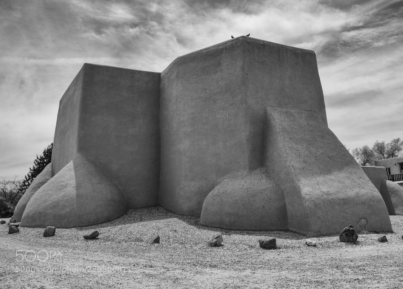 Fujifilm X-T2 sample photo. San francisco de asis photography