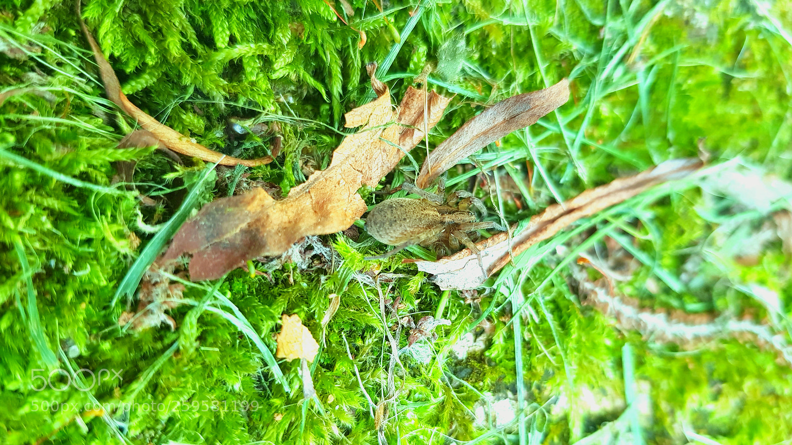 Samsung Galaxy S8 sample photo. Untitled photography