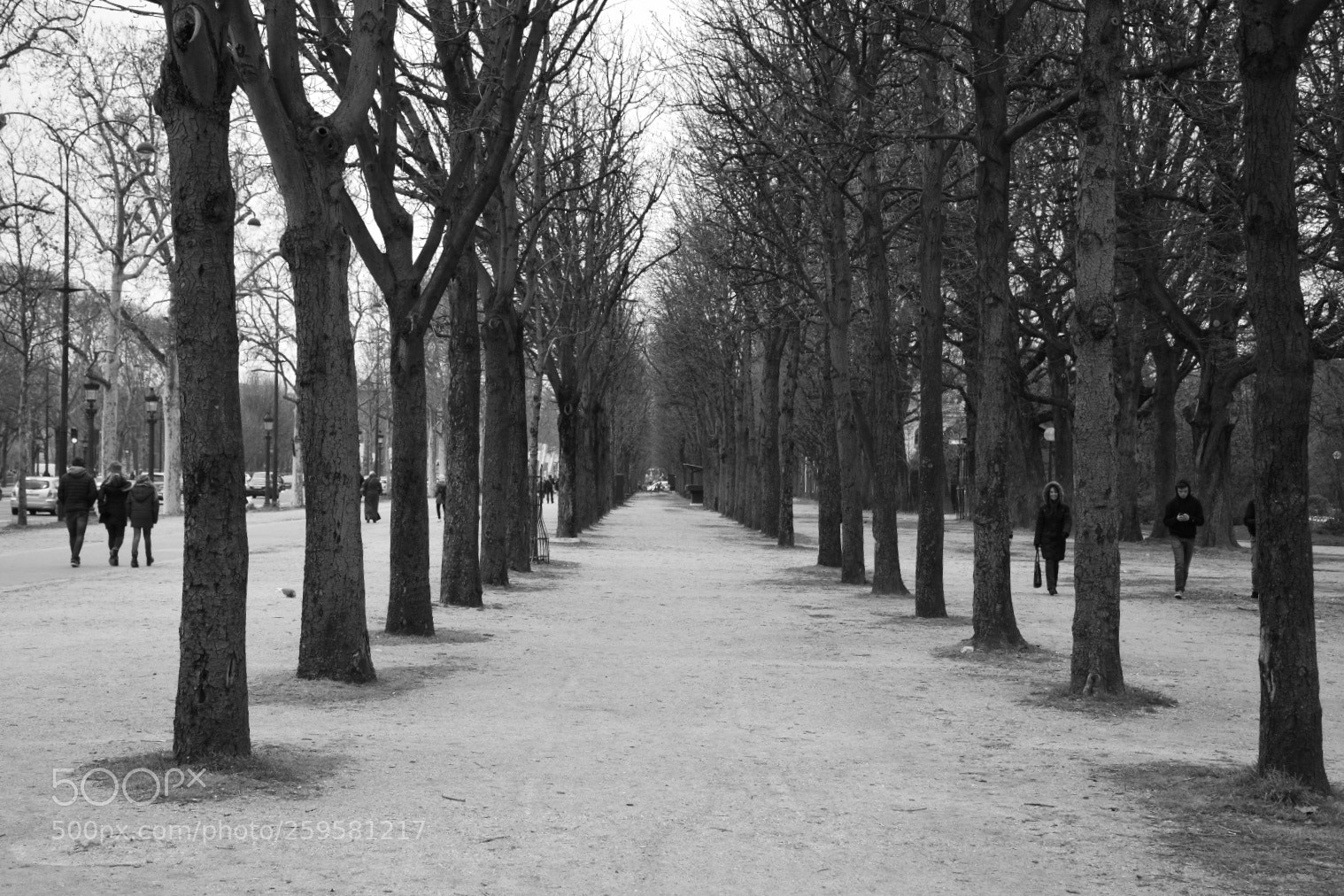 Nikon D7200 sample photo. #bnwphotography #bnw #blackandwhite #paris?? photography