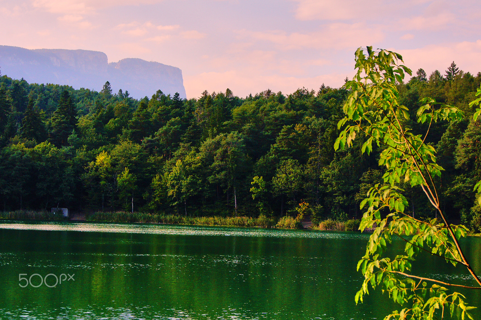 Sony Alpha DSLR-A500 sample photo. The green lake photography