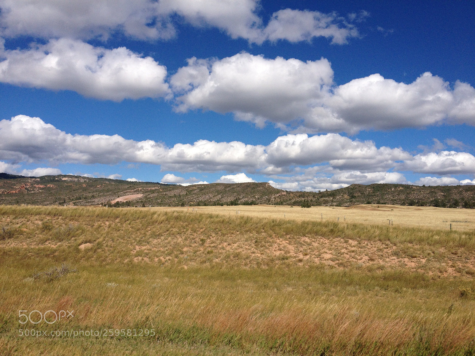 Apple iPhone 4S sample photo. Img photography