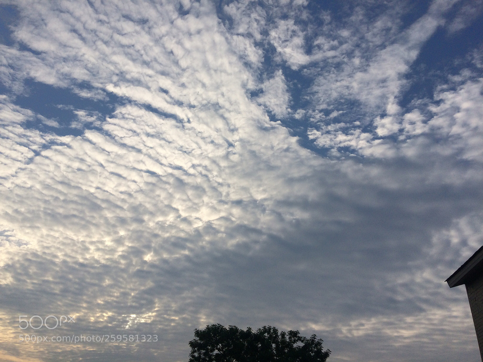 Apple iPhone 5s sample photo. Untitled photography