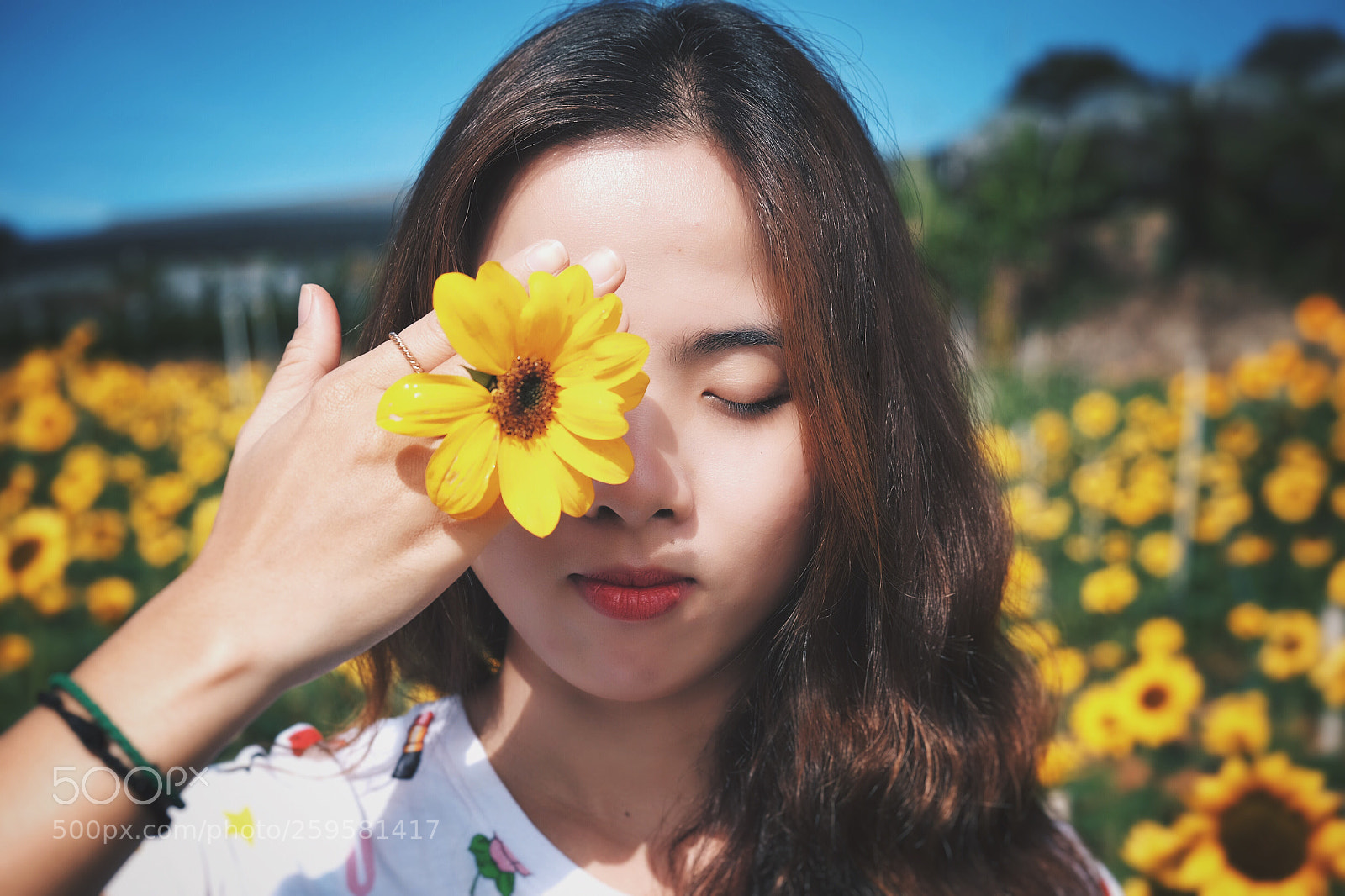 Fujifilm X-E2 sample photo. Sunflower in gardens photography