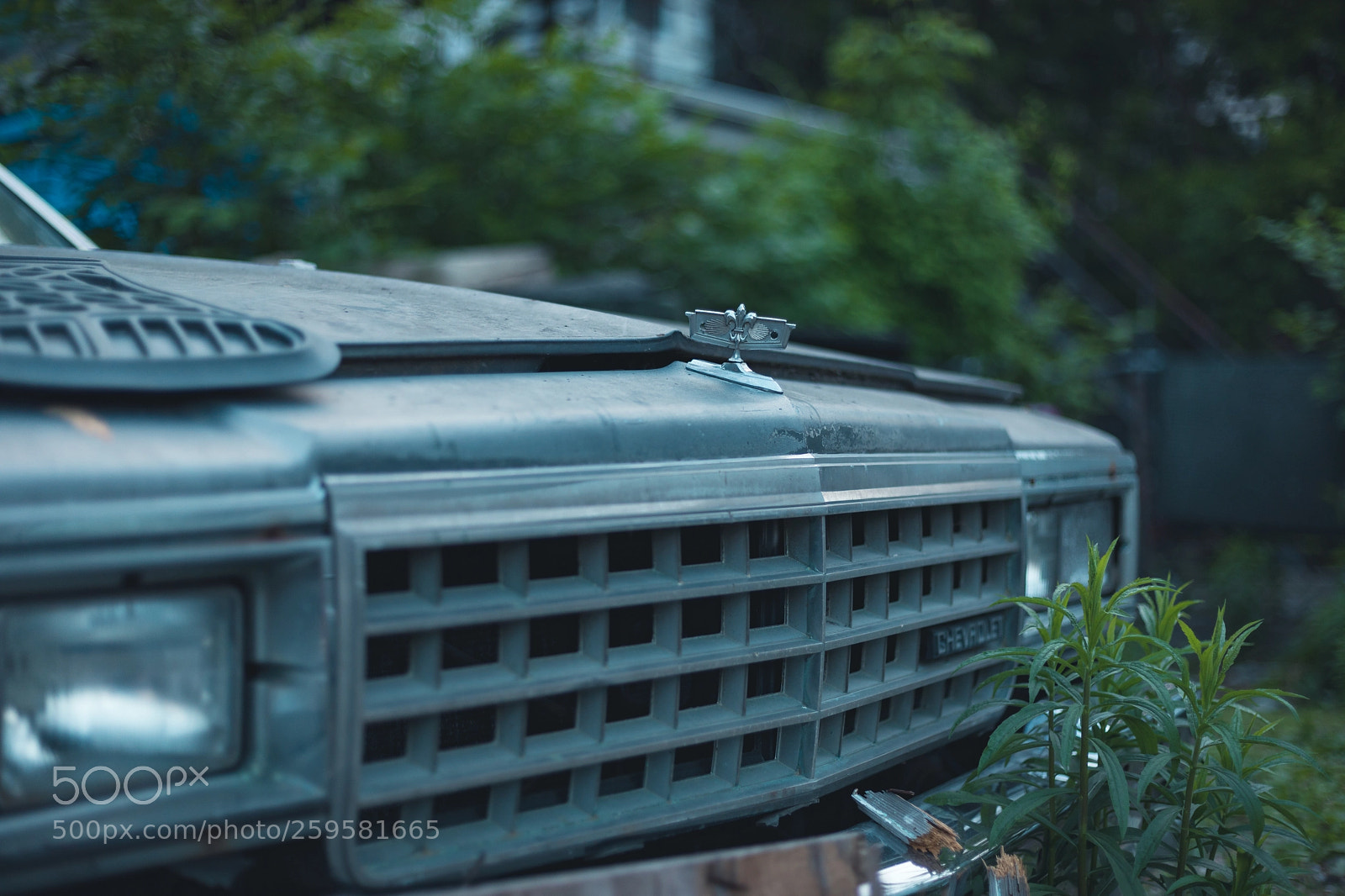 Canon EOS 5D Mark IV sample photo. Lost treasures photography